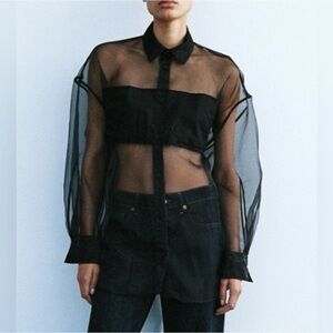 Zara Oversized Organza Shirt